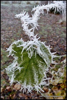 P1010857