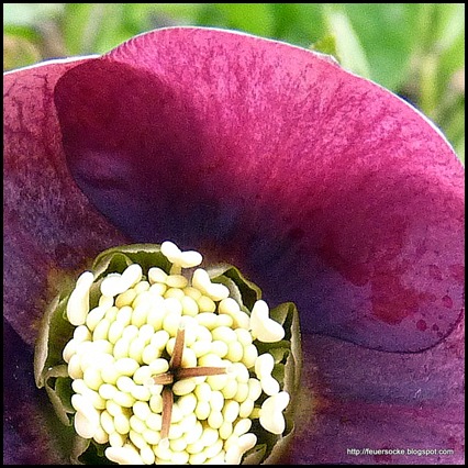 P1020107