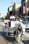 SF-Trip-YSK2-5.jpg
