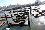 SF-Trip-YSK2-17.jpg