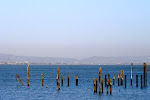 SF-Trip-YSK2-19.jpg