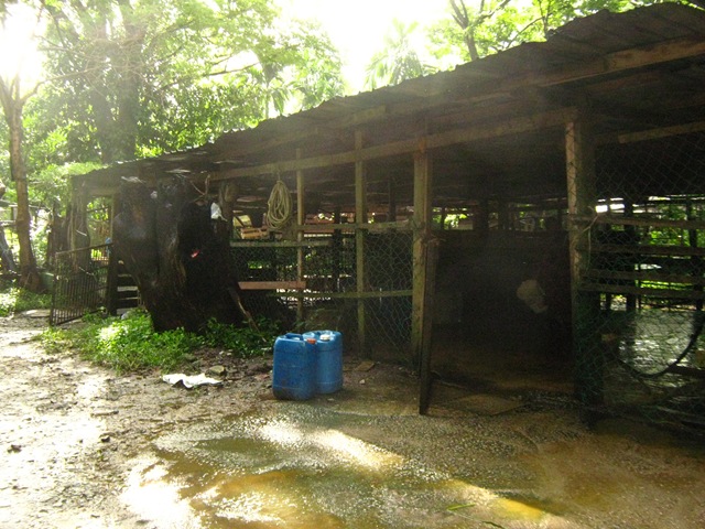 [IMG_55502.jpg]