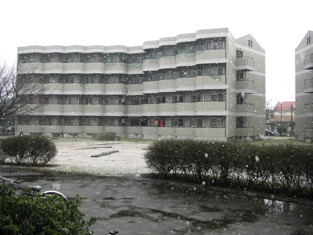 [CIMG00043.jpg]