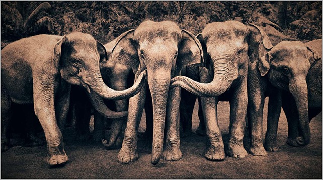 Gregory Colbert 13 Gregory Colbert 13