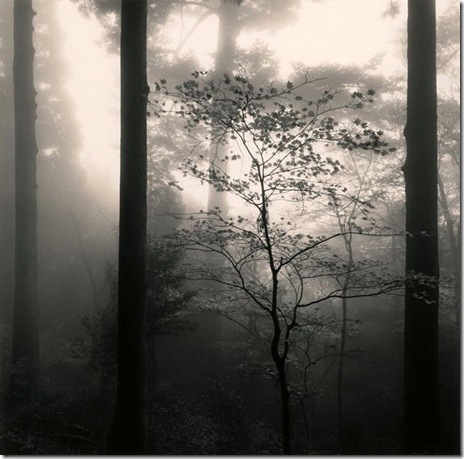 michael_kenna_02 michael_kenna_02