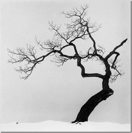 michael_kenna_103 michael_kenna_103