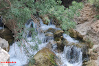 DSC_1101.JPG
