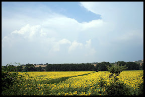 Agriturismo Serratone, Bed and breakfast, La tua vacanza lastminute in appartamento a contatto con la natura toscana