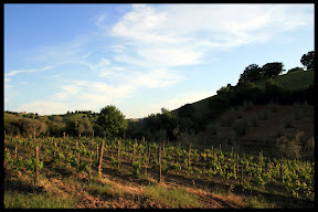 Agriturismo Serratone, Bed and breakfast, Il mare della maremma al centro della tua vacanza in appartamento con piscina e aria condizionata