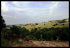 Agriturismo Serratone, Bed and breakfast, Il soggiorno ideale tra cultura,natura sport e divertimento nel cuore della maremma toscana