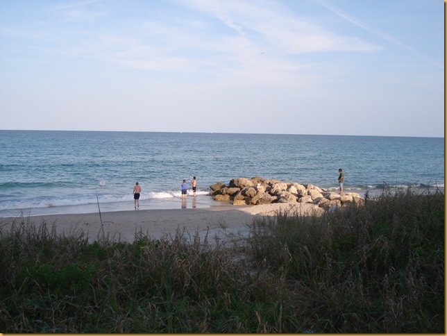 DSC03596 DSC03596