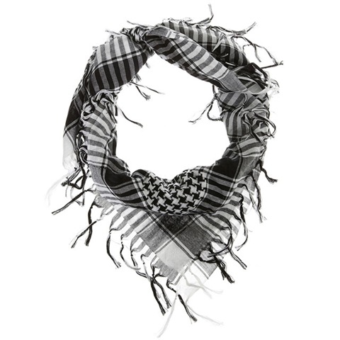[scarf[3].jpg]