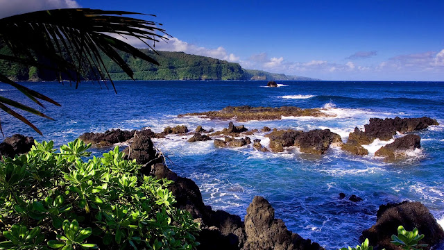 15 Nature HDTV Wallpapers 1600 X 900 15 Nature HDTV Wallpapers 1600 X 900