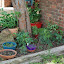 after's Under the tree garden
