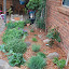 after's Back door garden