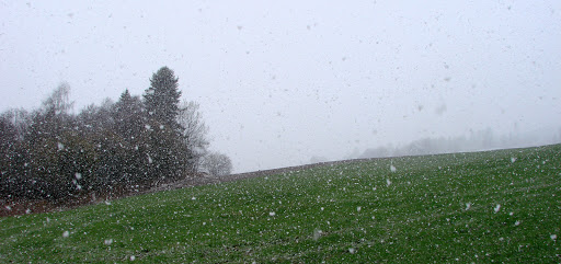 DSC05696.JPG
