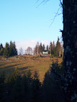 Vanghaugen