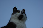 IMGP0133.JPG