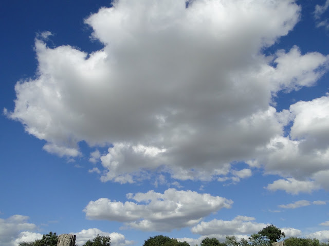 http://lh6.ggpht.com/_W3Yz6GwnBCQ/TEco9fCZb2I/AAAAAAAAJVA/LKRmI3OlJNw/s640/DSC09902.JPG