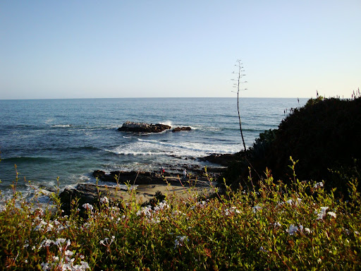灯泡