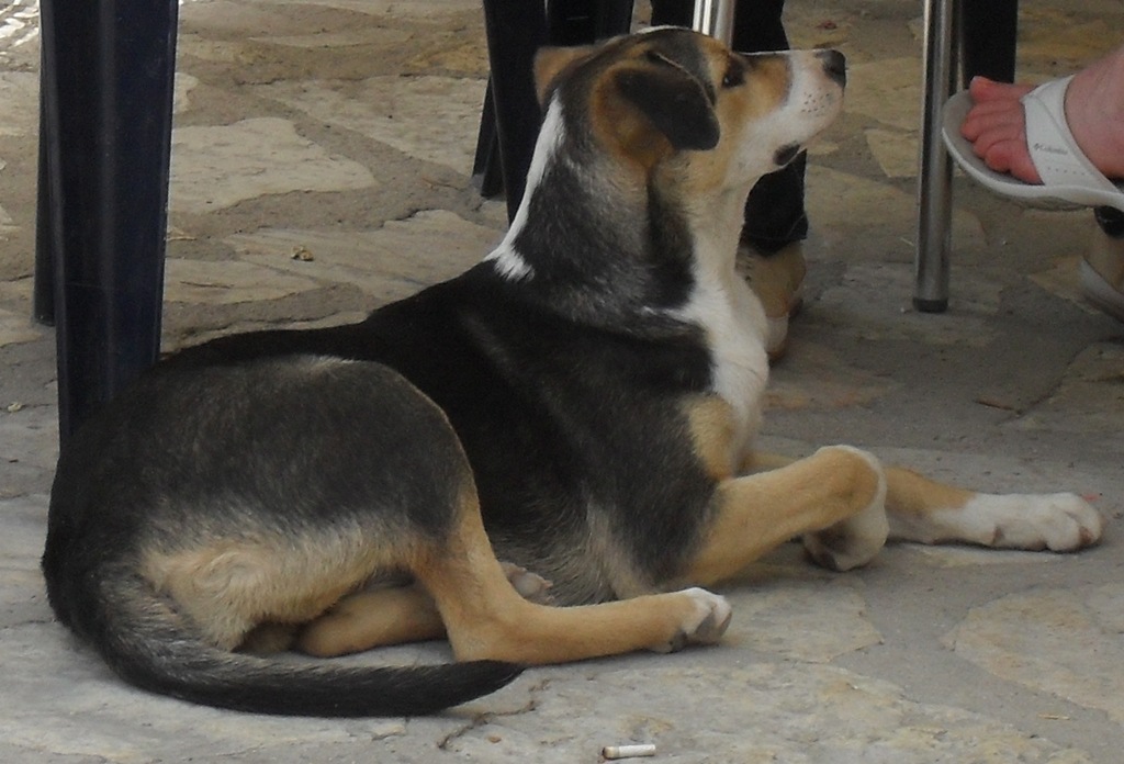 [SDC100133.jpg]