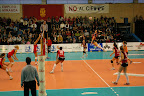 IMGP4693.JPG