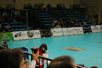 IMGP4695.JPG
