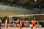 IMGP4729.JPG