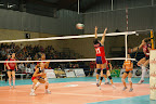 IMGP4733.JPG