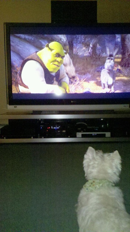 [shrek[7].jpg]