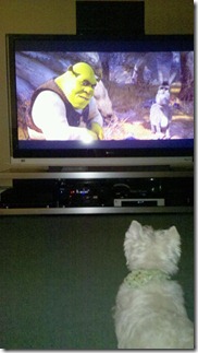 shrek