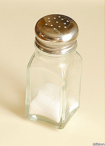 [salt-shaker-1[39].jpg]