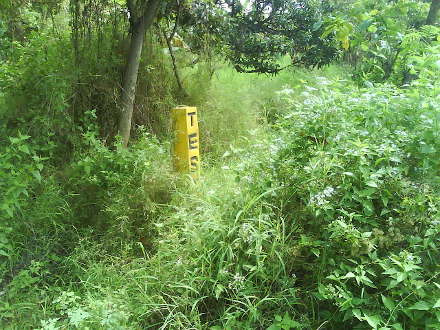 [Image: DSC01208.JPG]