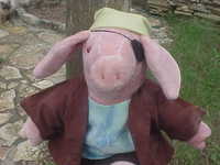 Pirate Piggy - arggh!