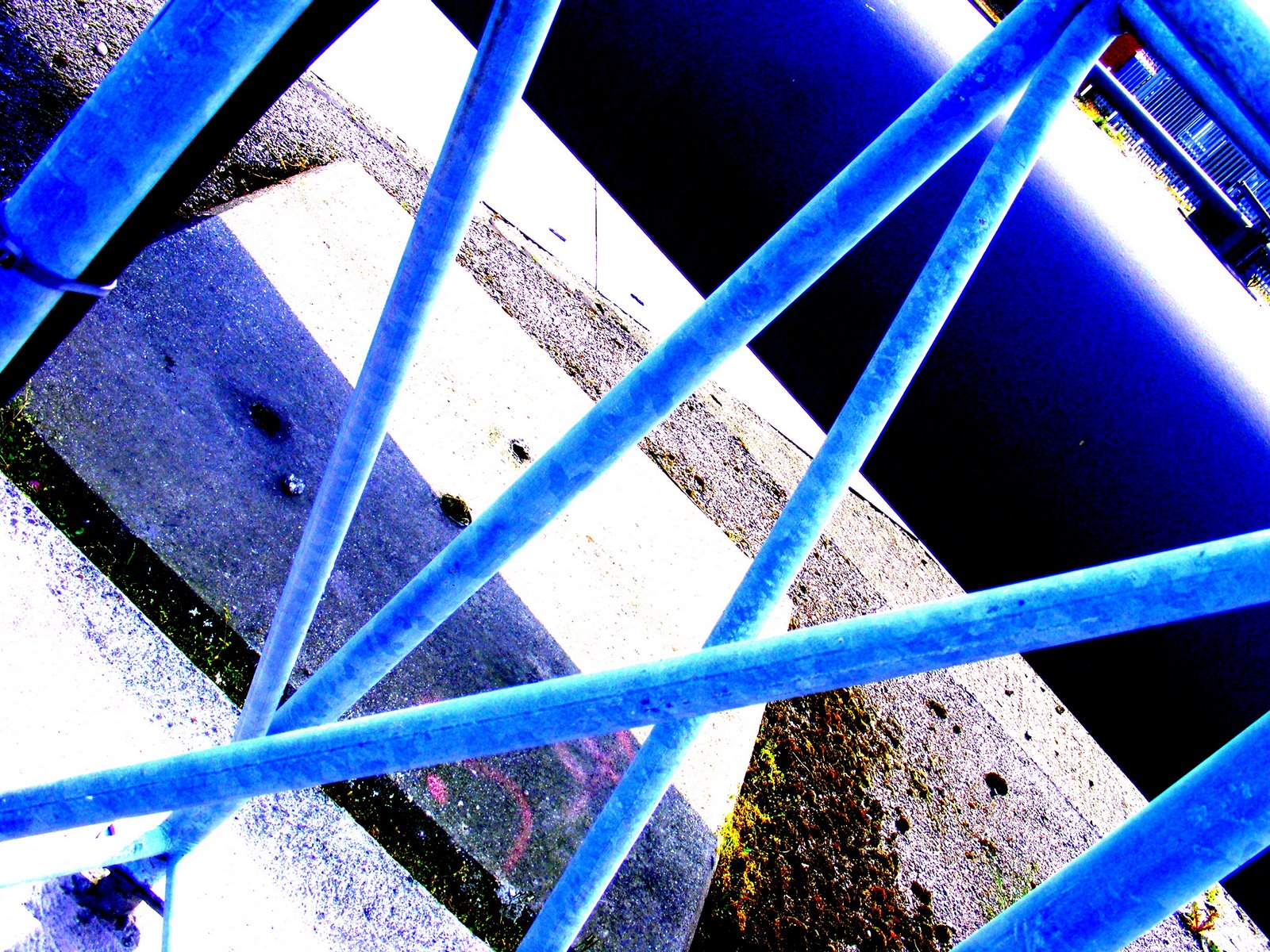 [2009_0424fishdock0116.JPG]