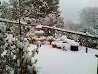 Back deck East Fountain