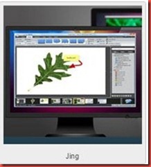 Jing Jing