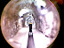 Underground Magic Carpet!?
