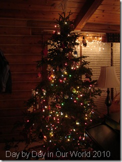 Pretty Colored Lights on the Tree Pretty Colored Lights on the Tree