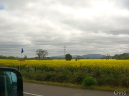 temuco (1) temuco (1)