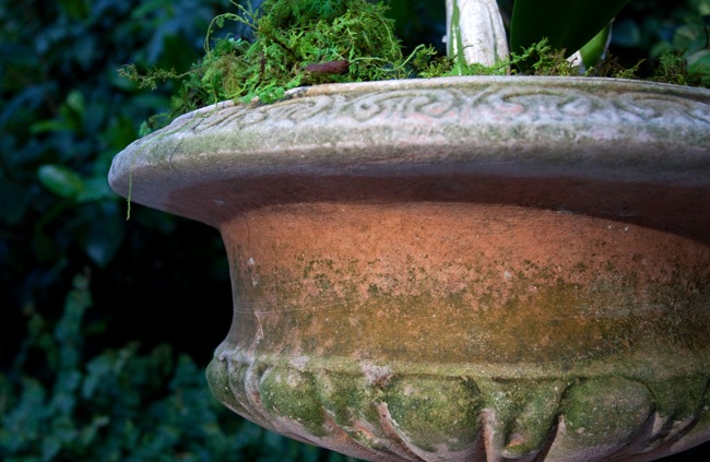 Campo-Urn-at-Sunset