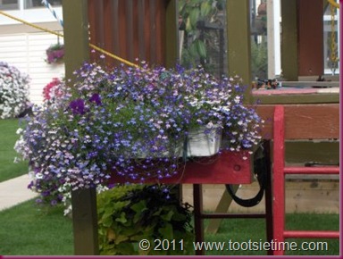 Planter That Hangs From Kitchen Cabinet Planter That Hangs From Kitchen Cabinet