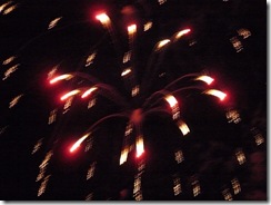 fireworks 018