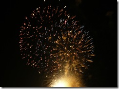 fireworks 086