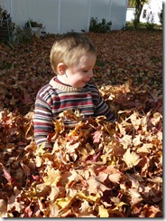 caelun in the leaves 024