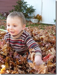 caelun in the leaves 043