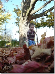 caelun in the leaves 095