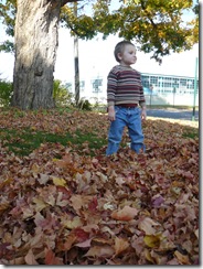 caelun in the leaves 104