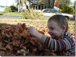 caelun in the leaves 124