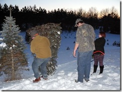 cutting the tree, Webster christmas washer 015